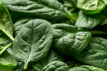 Fototapeta na wymiar spinach on white background