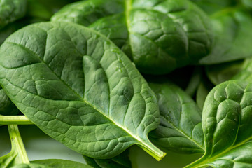 spinach on white background