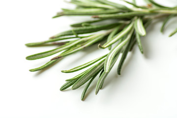 Fototapeta premium rosemary on white background