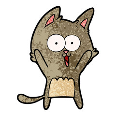 funny cartoon cat
