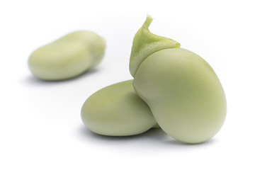 Broad beans (Vicia faba var. major) in seeds