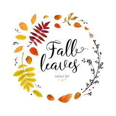 Vector floral watercolor style card design Autumn season round wreath: orange, yellow brown red fall leaves herbs, forest rowan oak tree branches Greeting postcard invite decorative nature element set
