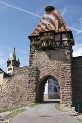 Fototapete bei efototapeten.de bestellen   