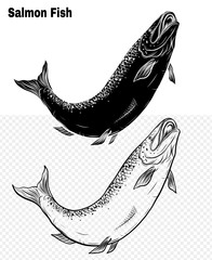 Obraz premium Salmon art highly detailed in line art style.Fish vector by hand drawing.Fish tattoo on white background.Black and white fish vector on white background.Salmon fish sketch for coloring book.