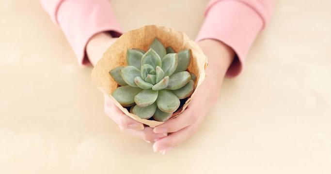 Woman holding a potted Succulent plant