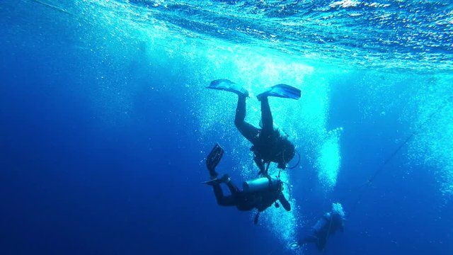 divers and the red sea