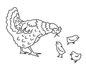 Курочка и цыплята