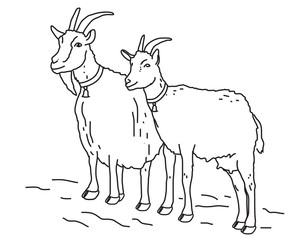 Козёл и коза
