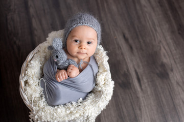 Sweet baby boy in basket, holding and hugging teddy bear, looking curiously at camera © Tomsickova
