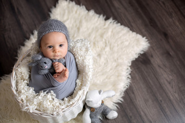 Sweet baby boy in basket, holding and hugging teddy bear, looking curiously at camera