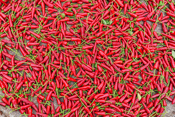 Fototapeta premium Background of red hot chili peppers.