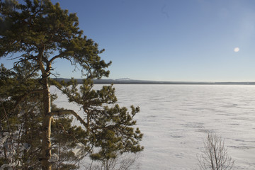 forest lake winter