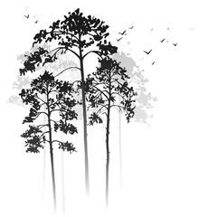 Obraz premium vector landscape with pine trees