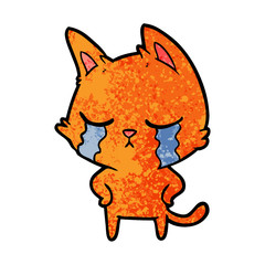 crying cartoon cat