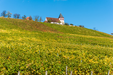 Michaelsberg bei Cleebronn
