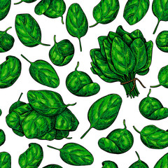 Spinach bunch and leaves hand drawn vector seamless pattern. Veg