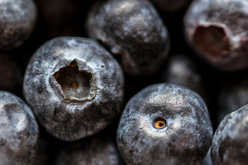 Close Up of Blueberry