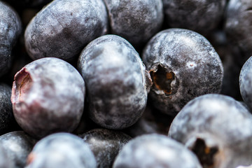 Close Up of Blueberry