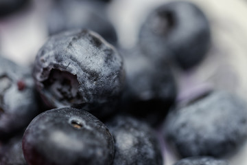 Close Up of Blueberry