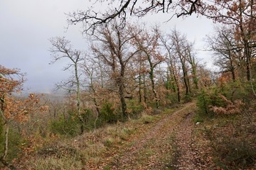 Rainbow in Chianti countryside
