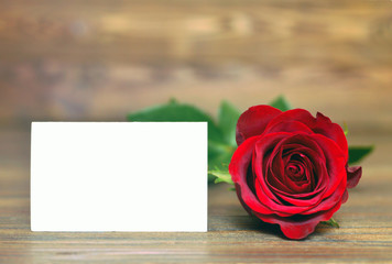 Valentines Day card. Red rose and blank greeting card on wooden background. Love background concept