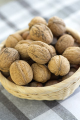 Walnuts in hard shells, pile on checkered tablecloth in creel