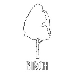 Birch icon. Outline illustration of birch vector icon for web