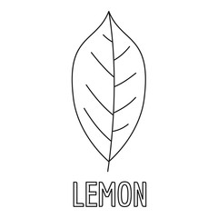 Lemon leaf icon. Outline illustration of lemon leaf vector icon for web