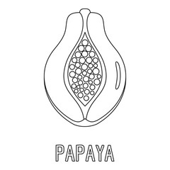 Papaya icon. Outline illustration of papaya vector icon for web