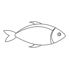 Fish icon. Outline illustration of fish vector icon for web