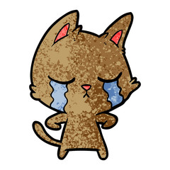 crying cartoon cat