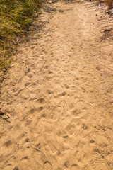 multiple footprints background