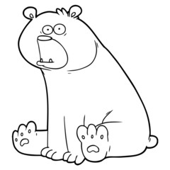 funny cartoon bear