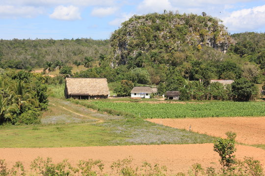 Vinales Valle de Silencio Cuba