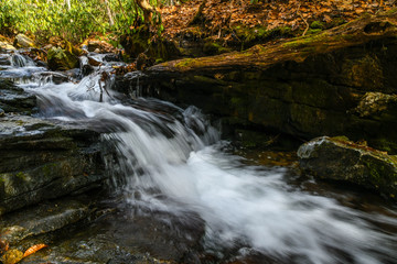 Fototapeta premium Soco Falls