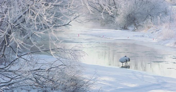 「阿寒」の画像 3,571 件の Stock 写真、ベクターおよびビデオ Adobe Stock