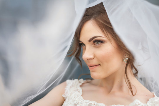 Portrait in profile of beautiful, young smiling bride with white veil over her face. Concept of young gorgeous bride.