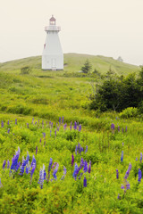 Fototapeta na wymiar French Point Lighthouse in Nova Scotia