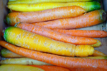 Colorful heirloom carrots at a French farmers market