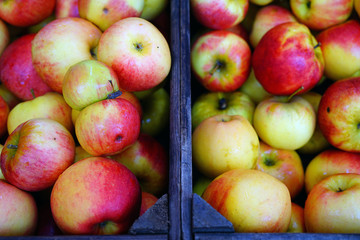 Fototapeta na wymiar Crates of heirloom apples at a French farmers market