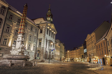 Fototapeta na wymiar Ljubljana City Hall at night