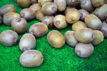 A new crop of kiwi fruit grown in Brittany, France
