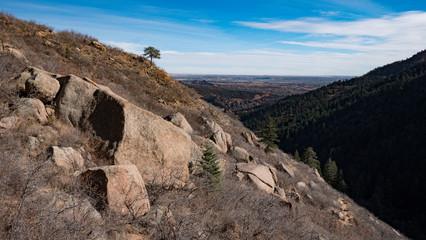One tree in the distance