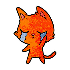 crying cartoon cat
