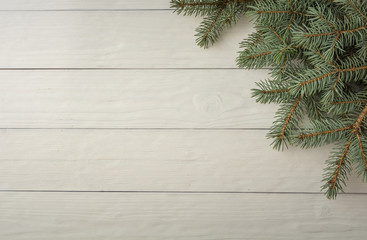 the fur-tree branch lying on a white background