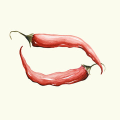 Papryka chili - ilustracja ręcznie malowana - obrazy, fototapety, plakaty