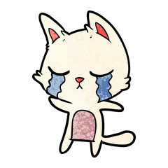 crying cartoon cat