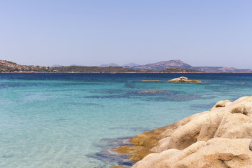 Beach of cows, San Teodoro, Sardinia, Italy.