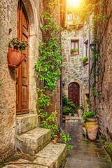 Foto op Canvas Steegje in de oude stad, Pitigliano, Toscane, Italië © FotoDruk.pl