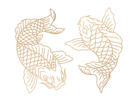 Koi fish. Japanese carp fish. Vector illustration